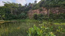 Rifle Range Nature Park Svg+xml,%3Csvg%20xmlns%3D%22http%3A%2F%2Fwww.w3