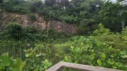 Rifle Range Nature Park Svg+xml,%3Csvg%20xmlns%3D%22http%3A%2F%2Fwww.w3