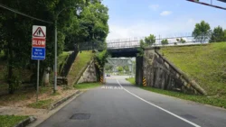 Bukit Timah Nature Reserve Svg+xml,%3Csvg%20xmlns%3D%22http%3A%2F%2Fwww.w3