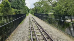 Bukit Timah Nature Reserve Svg+xml,%3Csvg%20xmlns%3D%22http%3A%2F%2Fwww.w3