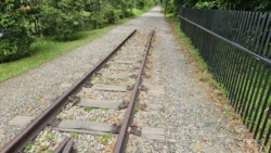 Bukit Timah Nature Reserve Svg+xml,%3Csvg%20xmlns%3D%22http%3A%2F%2Fwww.w3