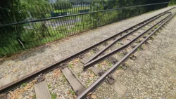 Bukit Timah Nature Reserve Svg+xml,%3Csvg%20xmlns%3D%22http%3A%2F%2Fwww.w3