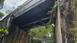 Bukit Timah Nature Reserve Svg+xml,%3Csvg%20xmlns%3D%22http%3A%2F%2Fwww.w3