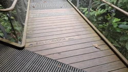 Rifle Range Nature Park Svg+xml,%3Csvg%20xmlns%3D%22http%3A%2F%2Fwww.w3