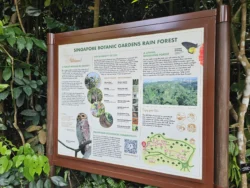 Singapore Botanic Gardens Svg+xml,%3Csvg%20xmlns%3D%22http%3A%2F%2Fwww.w3