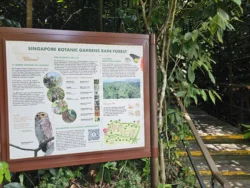 Singapore Botanic Gardens Svg+xml,%3Csvg%20xmlns%3D%22http%3A%2F%2Fwww.w3