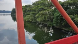 Lor Halus Wetland Svg+xml,%3Csvg%20xmlns%3D%22http%3A%2F%2Fwww.w3