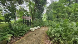 Bukit Timah Nature Reserve Svg+xml,%3Csvg%20xmlns%3D%22http%3A%2F%2Fwww.w3