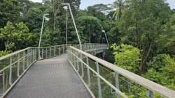 Rifle Range Nature Park Svg+xml,%3Csvg%20xmlns%3D%22http%3A%2F%2Fwww.w3