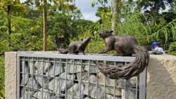 Rifle Range Nature Park Svg+xml,%3Csvg%20xmlns%3D%22http%3A%2F%2Fwww.w3