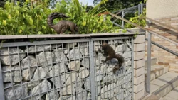 Rifle Range Nature Park Svg+xml,%3Csvg%20xmlns%3D%22http%3A%2F%2Fwww.w3