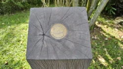 Lower Seletar Reservoir (Rower's Bay) Svg+xml,%3Csvg%20xmlns%3D%22http%3A%2F%2Fwww.w3