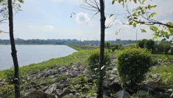 Lower Seletar Reservoir (Rower's Bay) Svg+xml,%3Csvg%20xmlns%3D%22http%3A%2F%2Fwww.w3