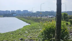 Lower Seletar Reservoir (Rower's Bay) Svg+xml,%3Csvg%20xmlns%3D%22http%3A%2F%2Fwww.w3