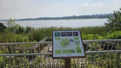Lower Seletar Reservoir (Rower's Bay) Svg+xml,%3Csvg%20xmlns%3D%22http%3A%2F%2Fwww.w3