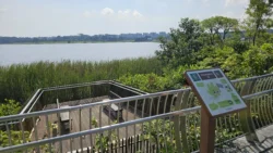 Lower Seletar Reservoir (Rower's Bay) Svg+xml,%3Csvg%20xmlns%3D%22http%3A%2F%2Fwww.w3