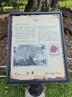 Singapore Botanic Gardens Svg+xml,%3Csvg%20xmlns%3D%22http%3A%2F%2Fwww.w3