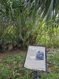 Singapore Botanic Gardens Svg+xml,%3Csvg%20xmlns%3D%22http%3A%2F%2Fwww.w3