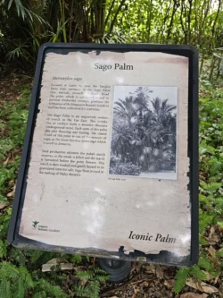 Singapore Botanic Gardens Svg+xml,%3Csvg%20xmlns%3D%22http%3A%2F%2Fwww.w3