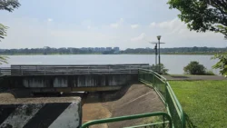 Lower Seletar Reservoir (Rower's Bay) Svg+xml,%3Csvg%20xmlns%3D%22http%3A%2F%2Fwww.w3
