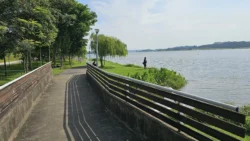 Lower Seletar Reservoir (Rower's Bay) Svg+xml,%3Csvg%20xmlns%3D%22http%3A%2F%2Fwww.w3