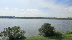 Lower Seletar Reservoir (Rower's Bay) Svg+xml,%3Csvg%20xmlns%3D%22http%3A%2F%2Fwww.w3