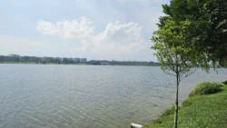 Lower Seletar Reservoir (Rower's Bay) Svg+xml,%3Csvg%20xmlns%3D%22http%3A%2F%2Fwww.w3