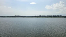 Lower Seletar Reservoir (Rower's Bay) Svg+xml,%3Csvg%20xmlns%3D%22http%3A%2F%2Fwww.w3