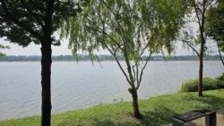 Lower Seletar Reservoir (Rower's Bay) Svg+xml,%3Csvg%20xmlns%3D%22http%3A%2F%2Fwww.w3