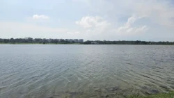 Lower Seletar Reservoir (Rower's Bay) Svg+xml,%3Csvg%20xmlns%3D%22http%3A%2F%2Fwww.w3