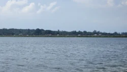 Lower Seletar Reservoir (Rower's Bay) Svg+xml,%3Csvg%20xmlns%3D%22http%3A%2F%2Fwww.w3