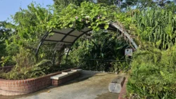 Sembawang Hot Spring Park Svg+xml,%3Csvg%20xmlns%3D%22http%3A%2F%2Fwww.w3