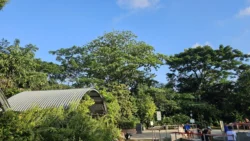 Sembawang Hot Spring Park Svg+xml,%3Csvg%20xmlns%3D%22http%3A%2F%2Fwww.w3