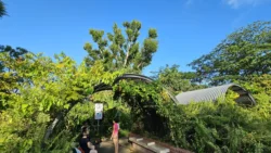 Sembawang Hot Spring Park Svg+xml,%3Csvg%20xmlns%3D%22http%3A%2F%2Fwww.w3