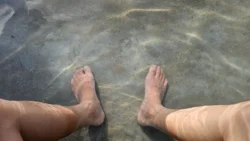 Sembawang Hot Spring Park Svg+xml,%3Csvg%20xmlns%3D%22http%3A%2F%2Fwww.w3