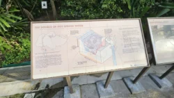 Sembawang Hot Spring Park Svg+xml,%3Csvg%20xmlns%3D%22http%3A%2F%2Fwww.w3