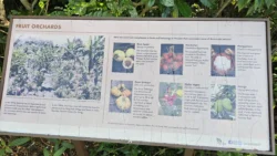 Sembawang Hot Spring Park Svg+xml,%3Csvg%20xmlns%3D%22http%3A%2F%2Fwww.w3