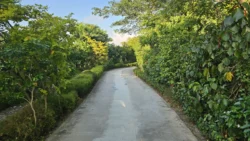 Sembawang Hot Spring Park Svg+xml,%3Csvg%20xmlns%3D%22http%3A%2F%2Fwww.w3