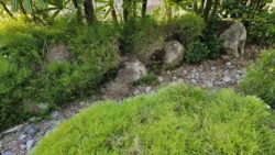 Sembawang Hot Spring Park Svg+xml,%3Csvg%20xmlns%3D%22http%3A%2F%2Fwww.w3