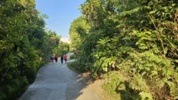 Sembawang Hot Spring Park Svg+xml,%3Csvg%20xmlns%3D%22http%3A%2F%2Fwww.w3