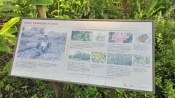 Sembawang Hot Spring Park Svg+xml,%3Csvg%20xmlns%3D%22http%3A%2F%2Fwww.w3