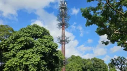 Sembawang Park Svg+xml,%3Csvg%20xmlns%3D%22http%3A%2F%2Fwww.w3