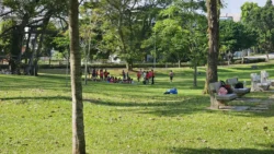 Sembawang Park Svg+xml,%3Csvg%20xmlns%3D%22http%3A%2F%2Fwww.w3