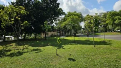 Sembawang Park Svg+xml,%3Csvg%20xmlns%3D%22http%3A%2F%2Fwww.w3