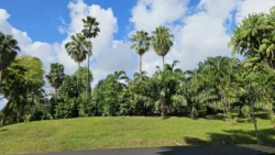 Sembawang Park Svg+xml,%3Csvg%20xmlns%3D%22http%3A%2F%2Fwww.w3