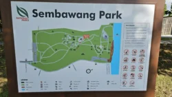 Sembawang Park Svg+xml,%3Csvg%20xmlns%3D%22http%3A%2F%2Fwww.w3