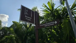 Sembawang Park Svg+xml,%3Csvg%20xmlns%3D%22http%3A%2F%2Fwww.w3