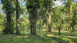 Sembawang Park Svg+xml,%3Csvg%20xmlns%3D%22http%3A%2F%2Fwww.w3