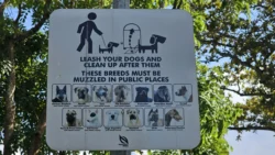 Sembawang Park Svg+xml,%3Csvg%20xmlns%3D%22http%3A%2F%2Fwww.w3