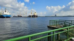 Sembawang Park Svg+xml,%3Csvg%20xmlns%3D%22http%3A%2F%2Fwww.w3